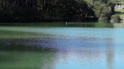 essai modif echosondeur rf 15e