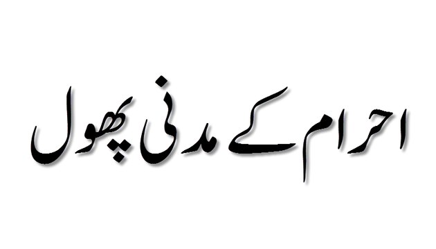 Ahram Ke Madani Phool - Madani Guldasta 450 - Maulana Ilyas Qadri