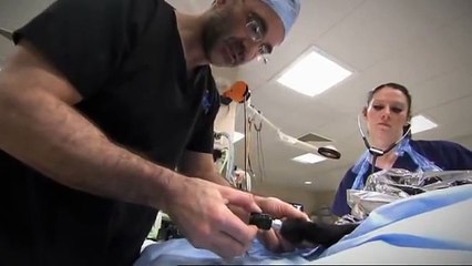 Ce vétérinaire est spécialisé en implant bionique pour animaux!