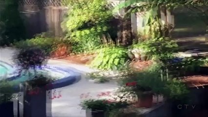 Canada : un ours se baigne tranquillement dans une piscine privée !