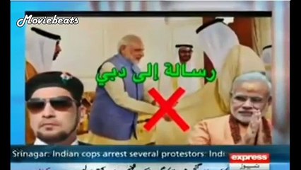 Pakistan Should take Steps to Stop Foot hold of india in Gulf Countries - PAPPU Scared