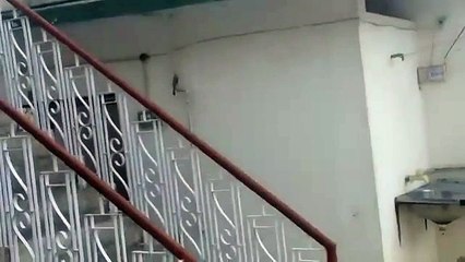 Barish In Tando Adam 2