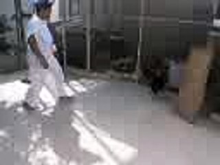 man Weiss hen hahaha