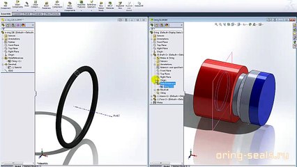 Трехмерное моделирование кольца FPM