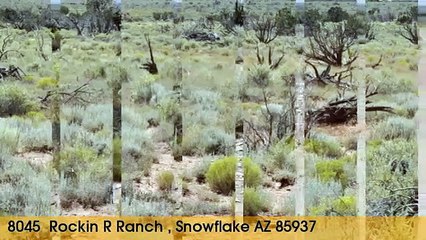Land For Sale: 8045  Rockin R Ranch  Snowflak