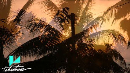 L.A. Takedown - L.A. Takedown (Official Video)