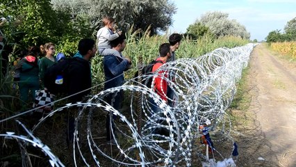 Un nombre record de migrants arrivent en Hongrie