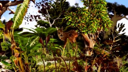 Small-scale farmers against soya monocultures | Global 3000