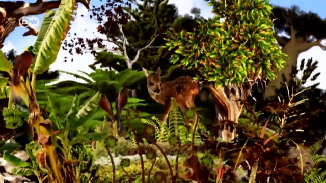 Small-scale farmers against soya monocultures | Global 3000