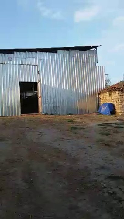 Kandıra Koyun Çiftliği