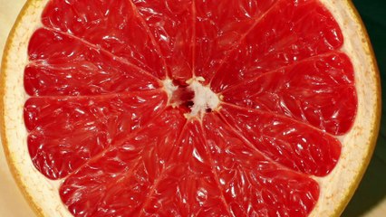 Django Django - Pause Repeat (Official Video)