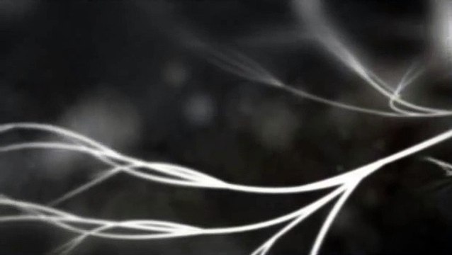 Ólafur Arnalds - 3055