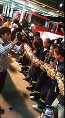 Encuentran a una serpiente de 8 metros en un restaurante