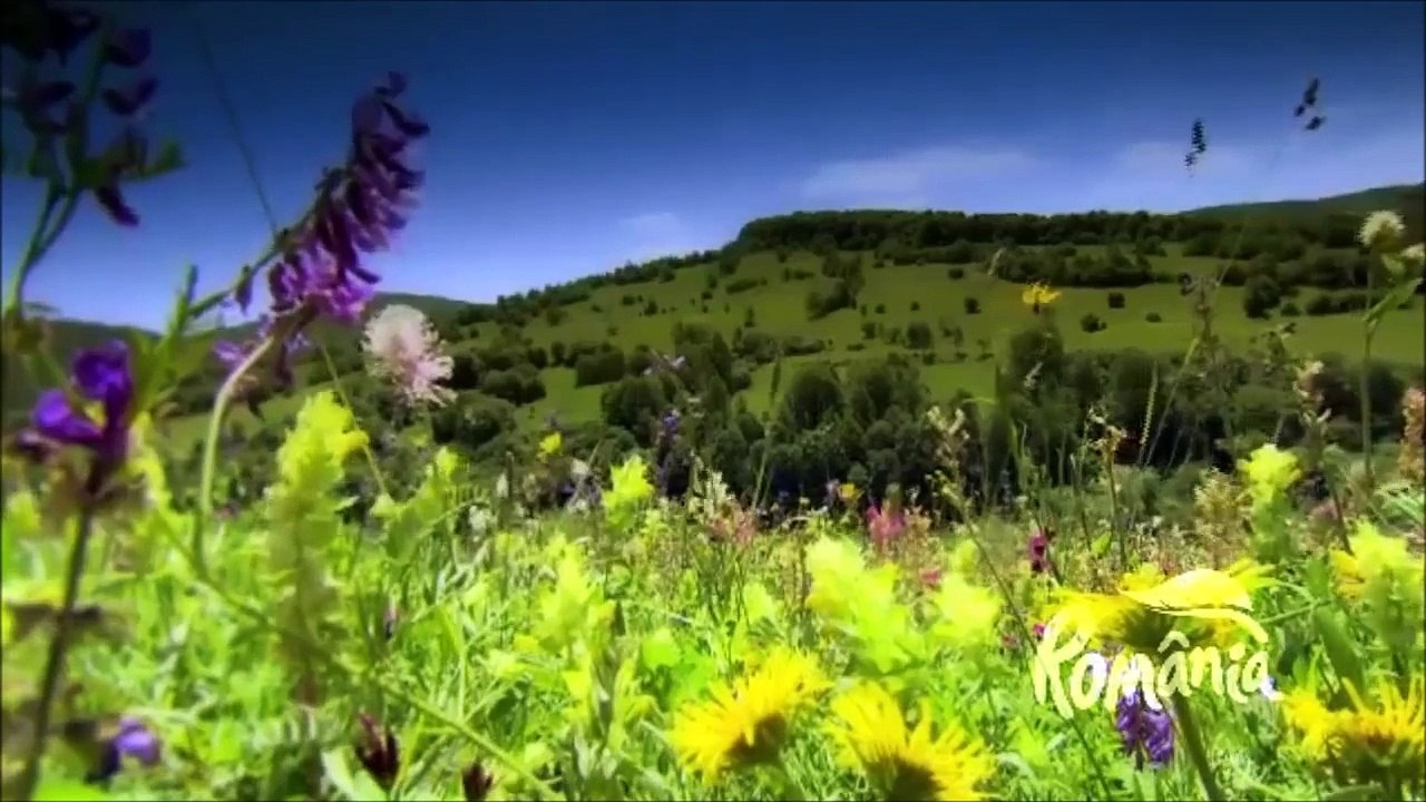 Discovering Romania - Natural beauties - Culture, History & Tourism