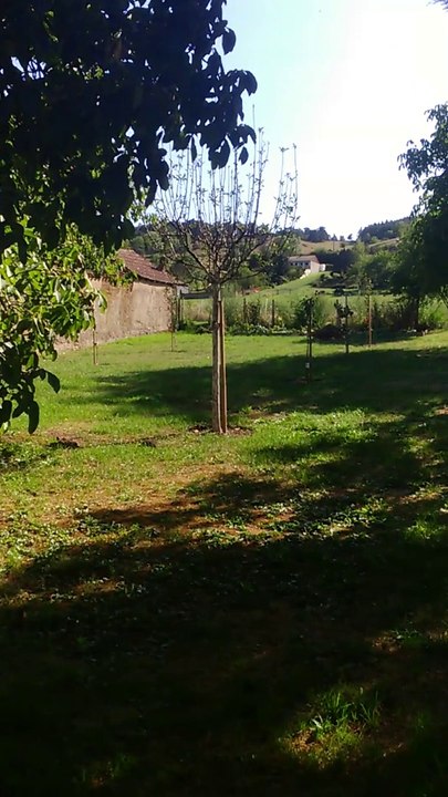 jardin 2