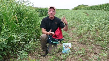 Food Plot Fix