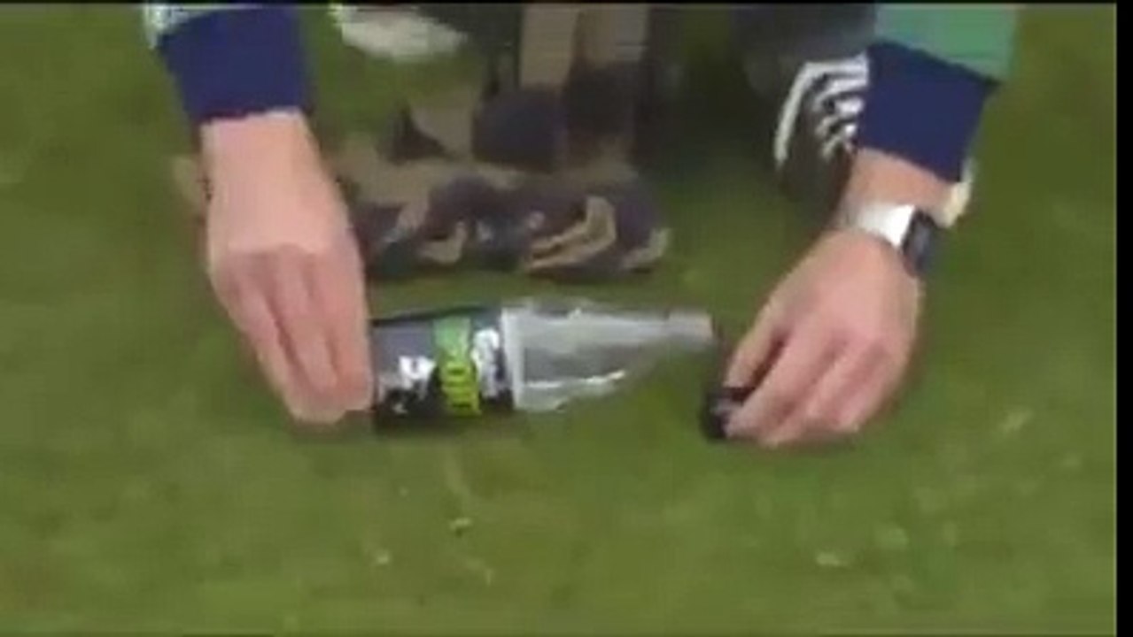 Tupai pintar bermain bola