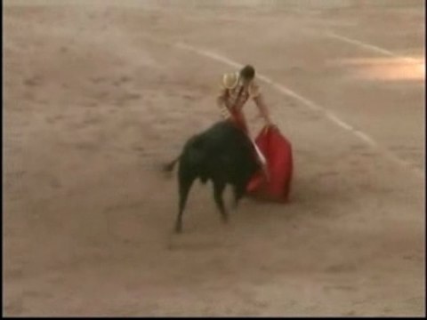 Sebastien Castella Arles