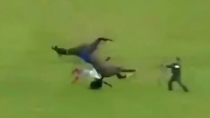 Angry horse fall on men