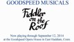 Goodspeed Backstage Bloggers Interview with Adam Heller of Fiddler on the Roof!
