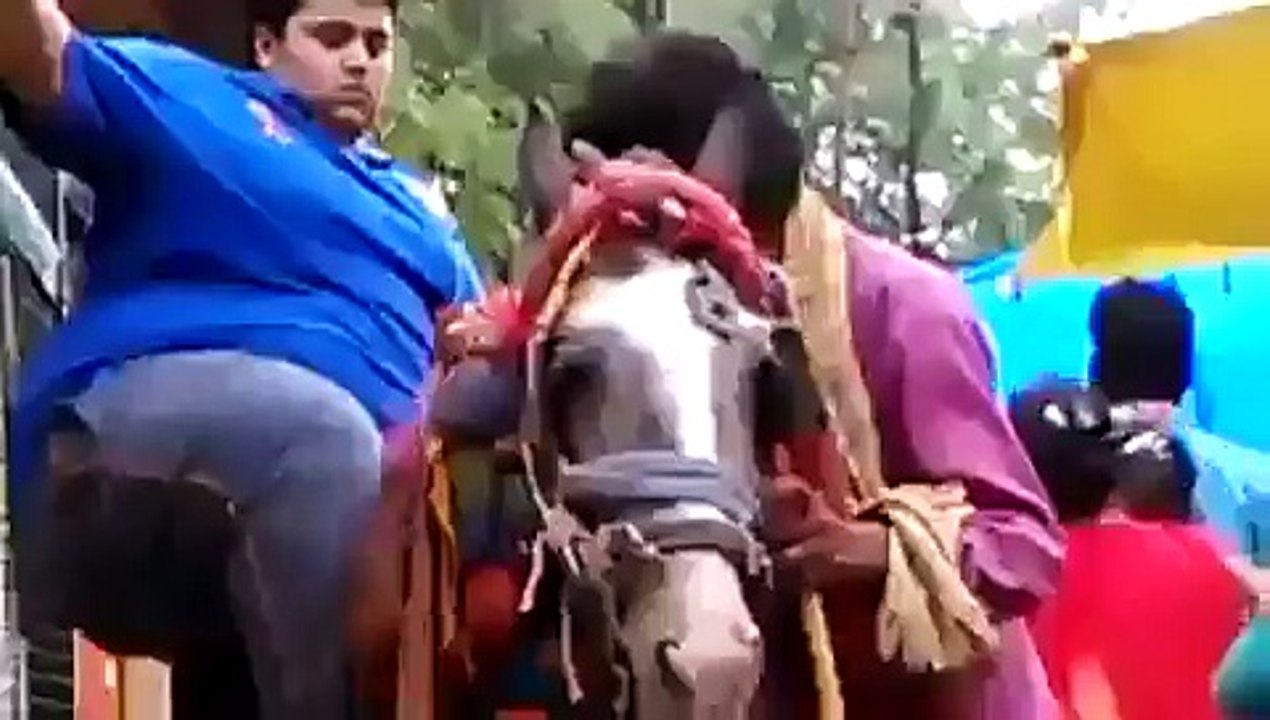 Horse is Crying