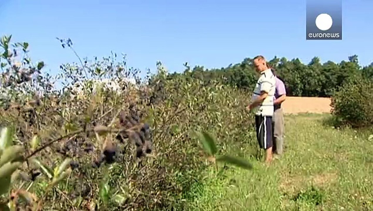 Polnische Regierung will Landwirten helfen
