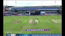 First Ball Six Reverse Sweep by Maxwell Superb Cricket Shot