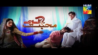 Mohabbat Aag Si Episode 11 on Hum Tv