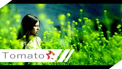 VLADO JANEVSKI - BULKI (OFFICIAL VIDEO) by TOMATO PRODUCTION