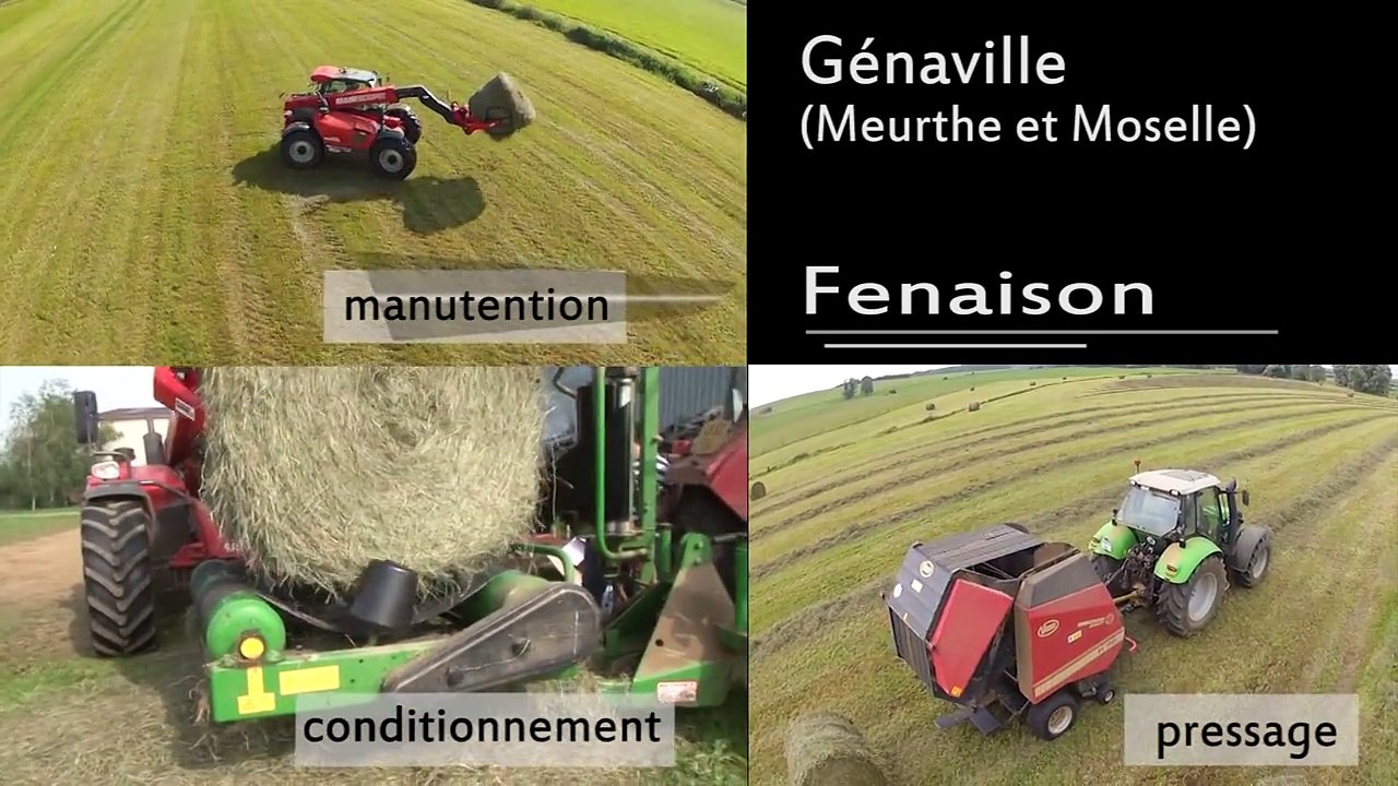 Fenaison - Génaville (meurthe et moselle)