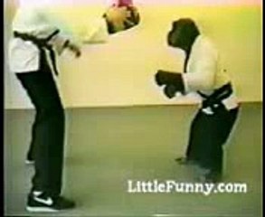Funny Clip - Man vs Monkey Karate Fighting !