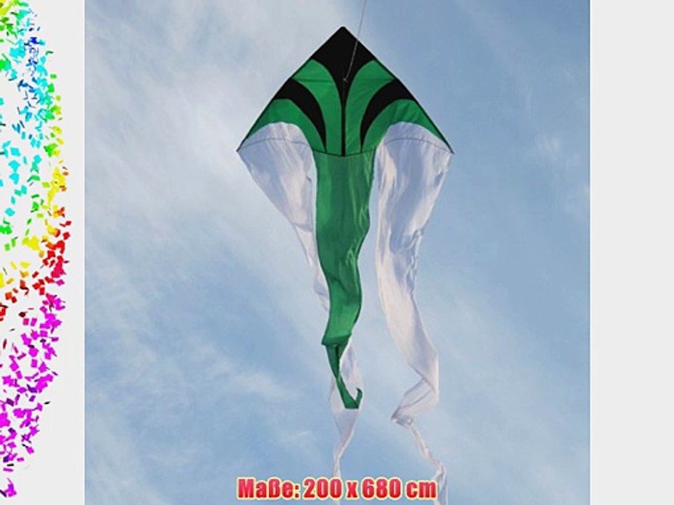 F-Tail DART green - komplett mit Drachenschnur - 200cm x 680cm