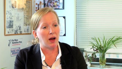 Inside The Americas - Capital Punishment in the US