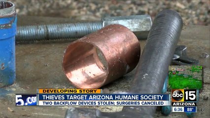 Arizona Humane Society hit twice by thieves