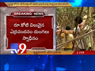 1 crore worth Red sanders seized in Chittoor