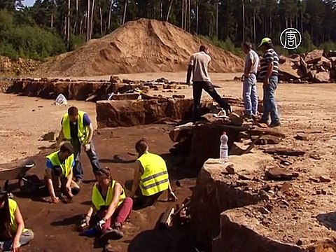 В Нижней Саксонии нашли следы 30-тонного динозавра