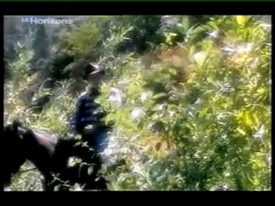 The X Creatures Episode 4 "Shooting The Bigfoot" Part 2