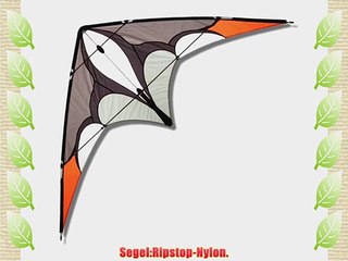 SPORTLENKDRACHEN JIVE II INFRARED