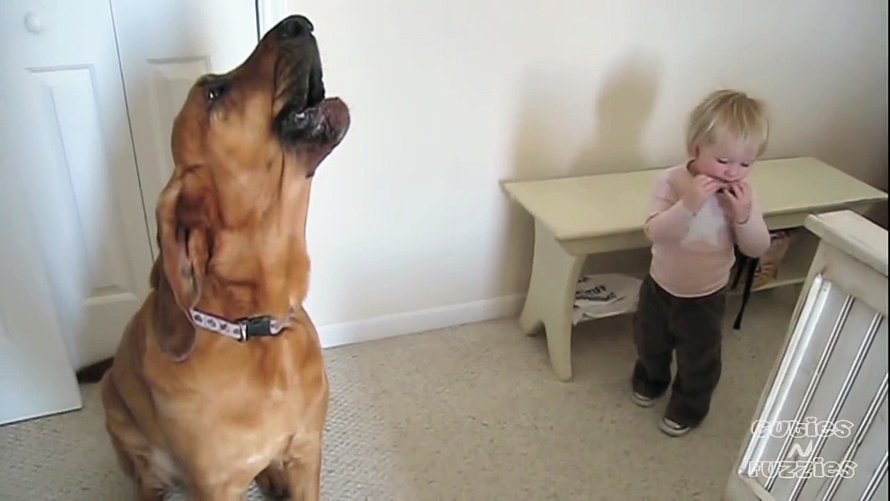 Oh mon dieu c'est tout simplement adorable ! B.B. King serait probablement ravi !