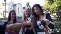 QTV Student Life: Fostering Puppies