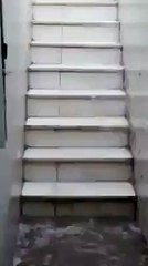 Video of Rain in Masjid e Nabvi Madina