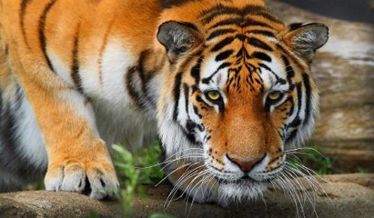 Ganj: Yaşam Nehri - 1. Bölüm