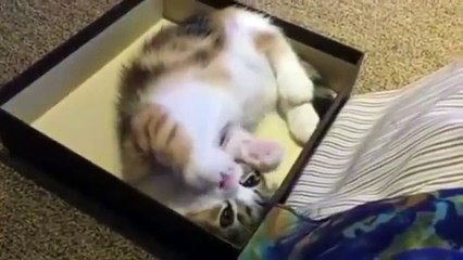 Finger Sucking Like A Baby