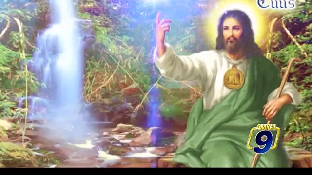 TOTUS TUUS | Papa Francesco - Laudato sì - Lettera Enciclica (27 agosto)