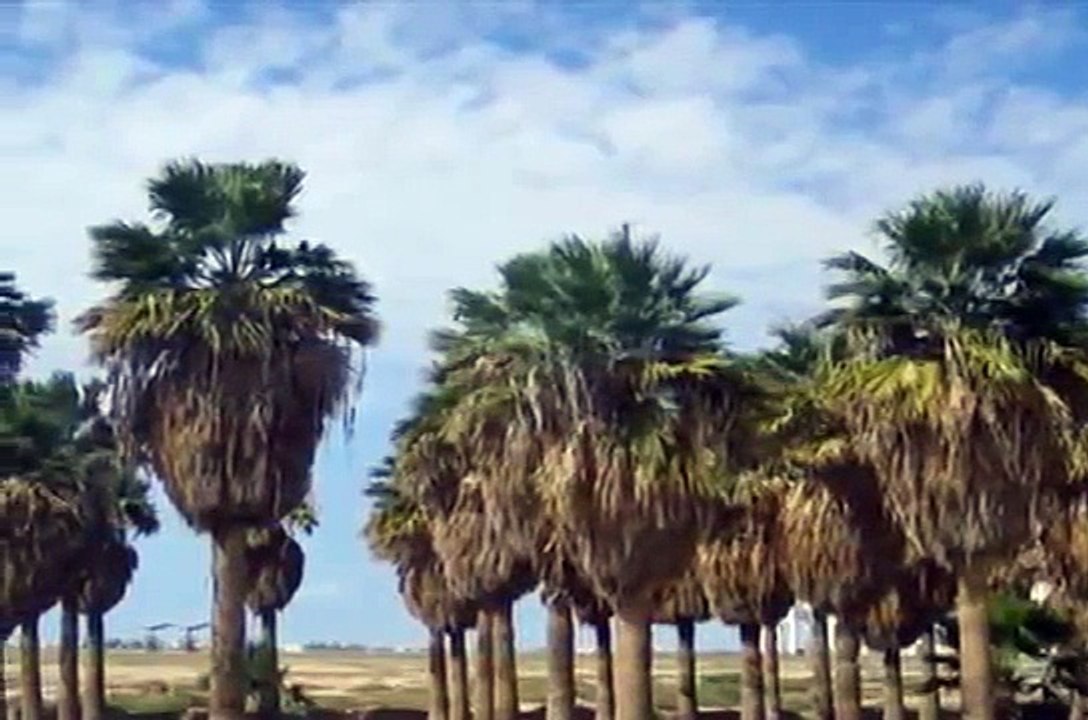 The Life of the Prophet Muhammed(sal)- Part 1