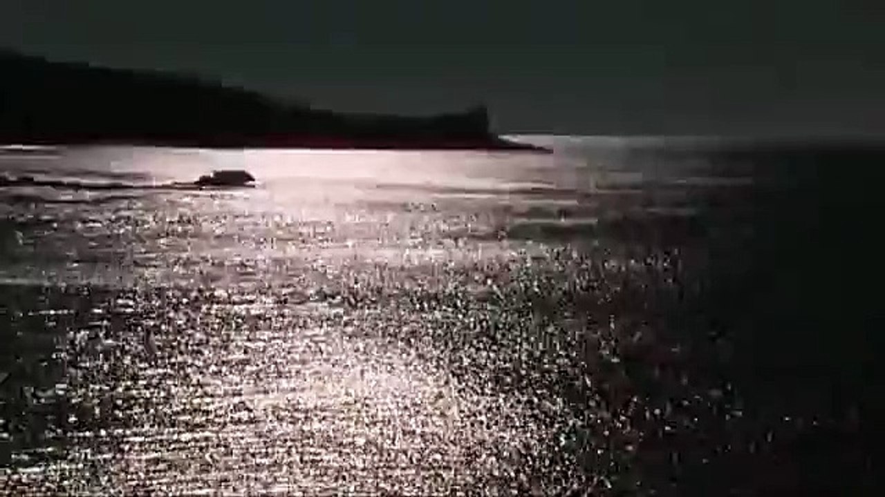 livorno sea spot