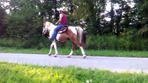 Major passing ATV, Vehicle, Bicycle &  little girl riding a horse for the 1st time out by herself!