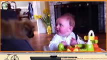 Funny Cute Baby Video   Talking Twin Babies   Funny Baby Videos 2015 For Kids