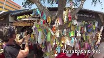 Little Tokyo Los Angeles Nisei Week: GoPro Japanese Festival Tour Vlog #1