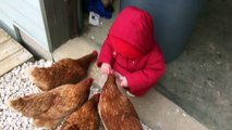 First time feeding the chickens takes a little bit of coordination!